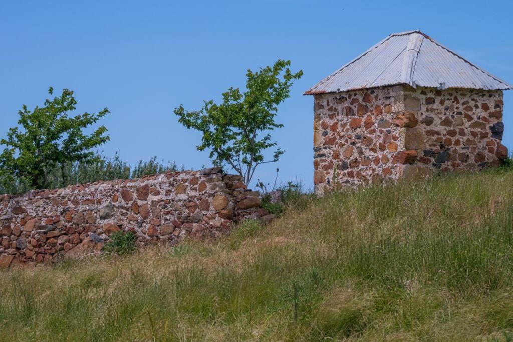 *Newly Relisted* Coach House At Lisdillon Vineyard Villa Little Swanport Luaran gambar