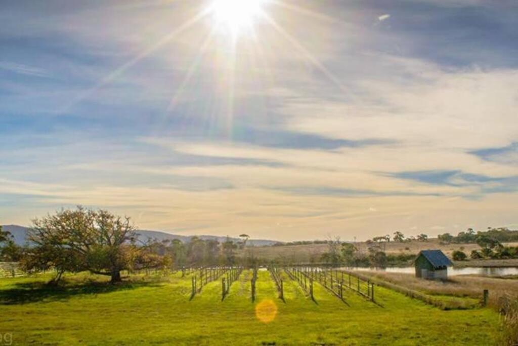 *Newly Relisted* Coach House At Lisdillon Vineyard Villa Little Swanport Luaran gambar