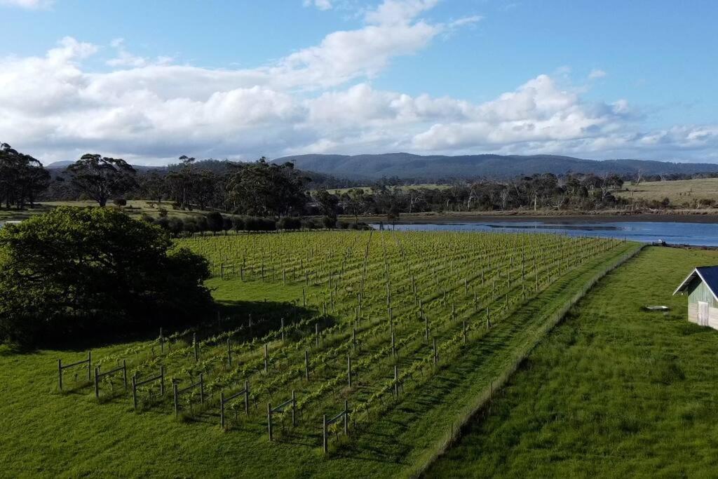 *Newly Relisted* Coach House At Lisdillon Vineyard Villa Little Swanport Luaran gambar
