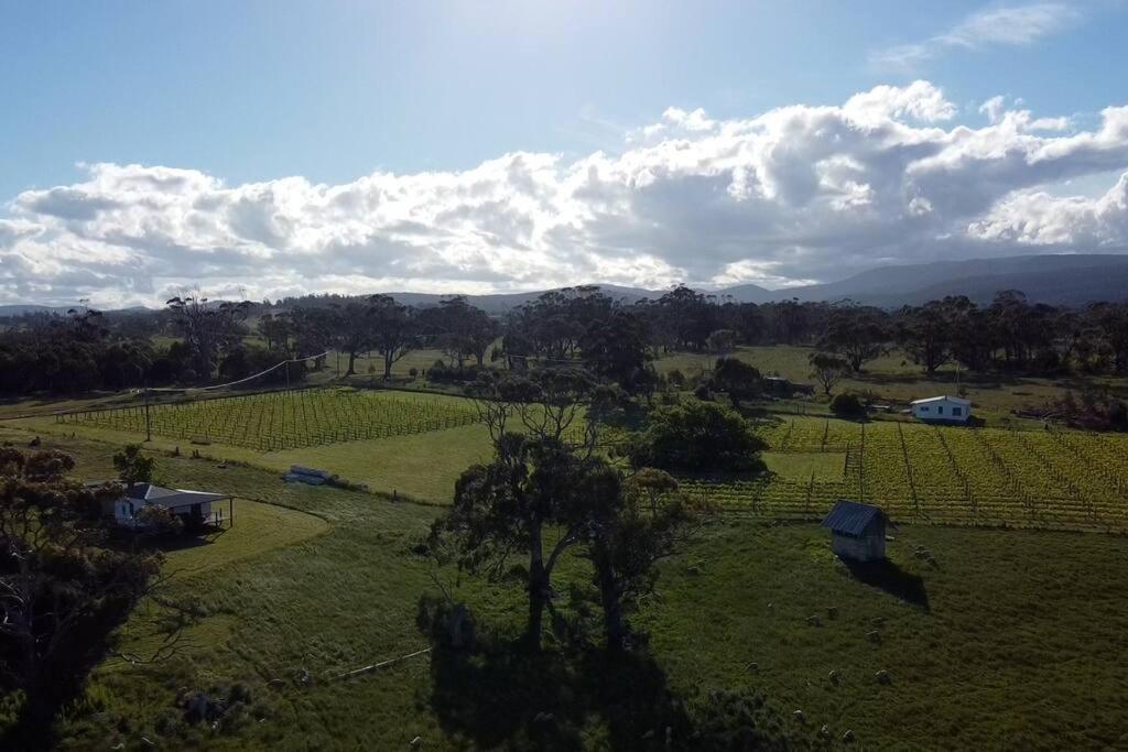 *Newly Relisted* Coach House At Lisdillon Vineyard Villa Little Swanport Luaran gambar
